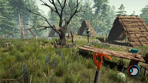The Forest