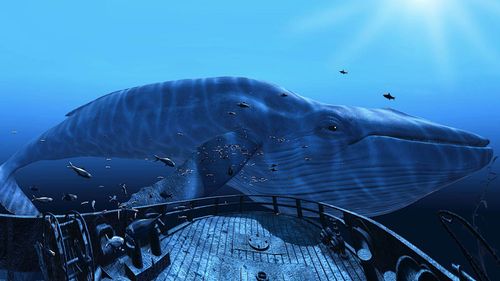 theBlu VR