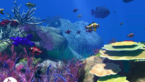 theBlu VR