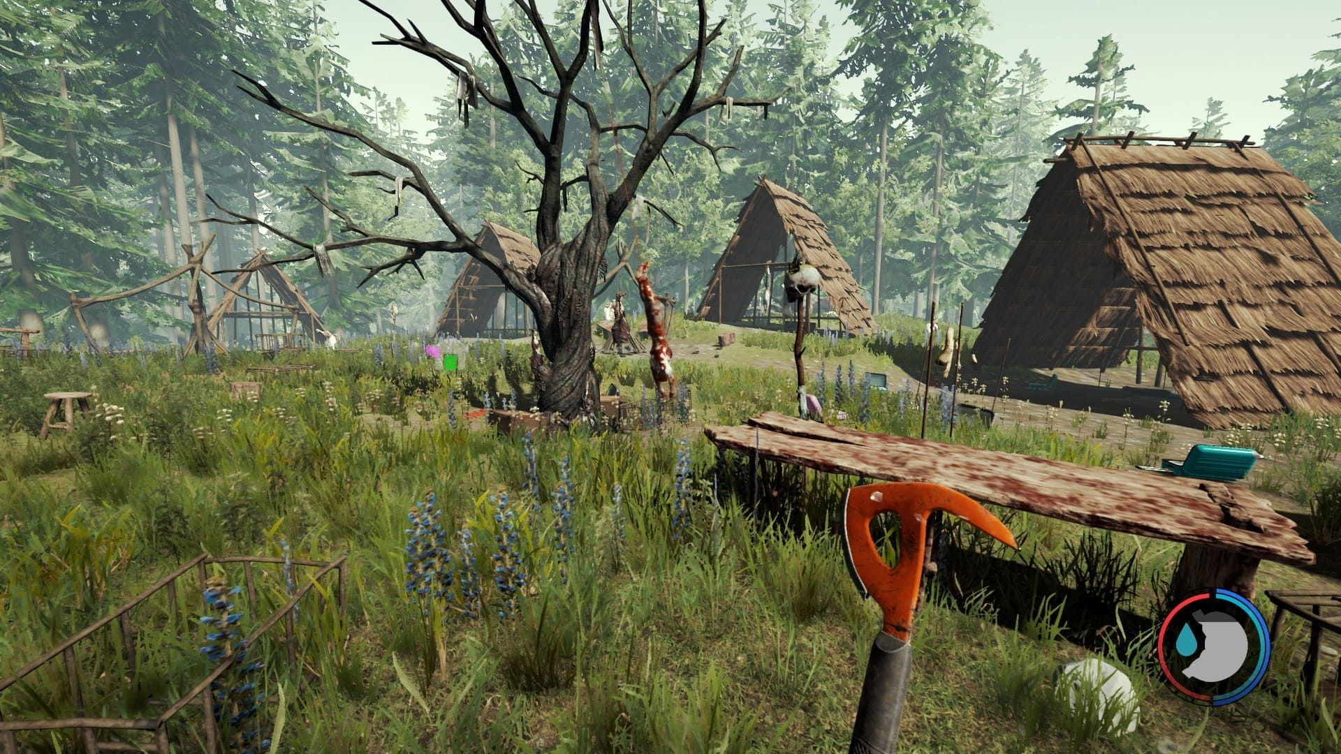 The Forest